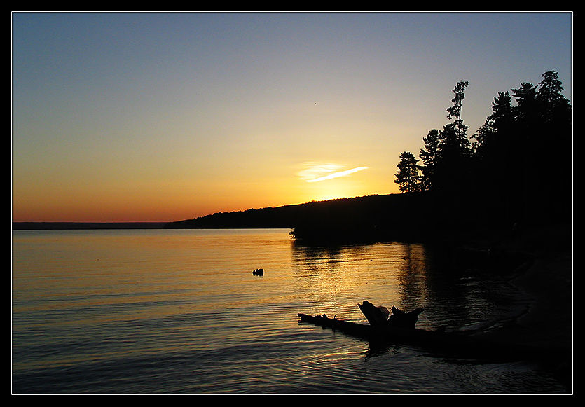 Сурское море пенза фото